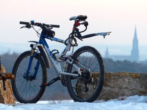 Overzicht beste mountainbikes 2024 inclusief Canyon Spectral, Trek Fuel EX en Specialized Stumpjumper modellen